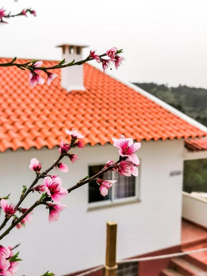 코임브라 O Refugio 빌라 외부 사진